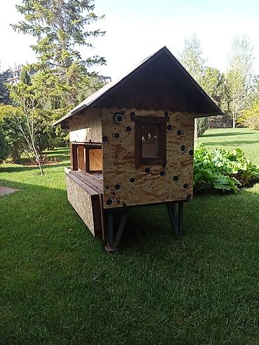 Куры, петухи: Продаю | Куры | Несушки — 6