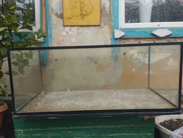 аквариум с рыбами: Продаётся аквариум на 200 литров с тумбой для аквариума за цену