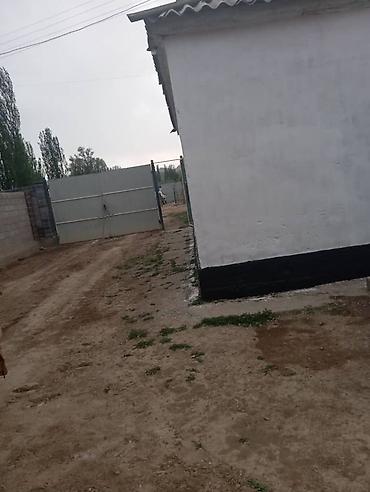 Продажа коттеджей и домов: Кочкор районунан чон там сатылат. Кара- тоо айылы райондон 2,5 км — 2