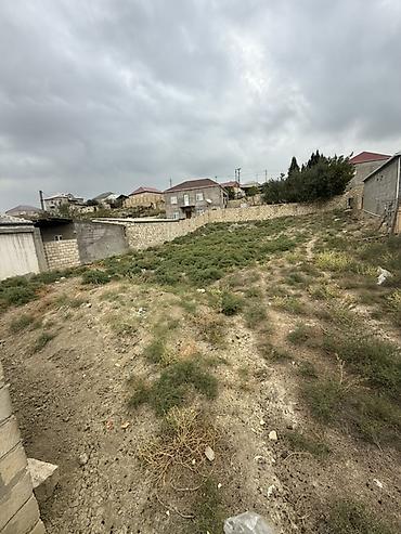 novxani gunluk evlər: 7 sot, Tikinti, Mülkiyyətçi, Kupça (Çıxarış) — 1