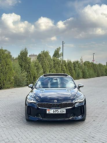 kia stiger: Kia Stinger: 2019 г., 2 л, Автомат, Бензин, Седан — 2