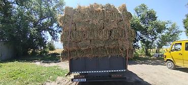 вагон бу купить: Грузовик, Mercedes-Benz, Дубль, 5 т, Б/у — 2