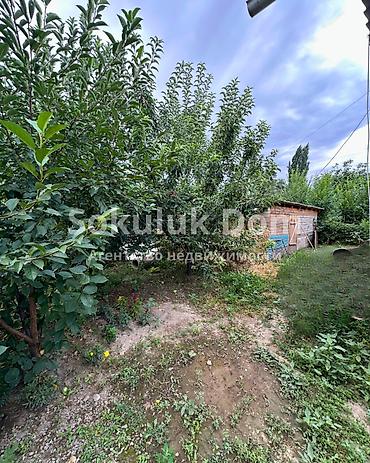 the level: 🏠Продается дом в с. Сокулук 🟡Комнаты: 3 🟡Участок: 5 соток 🟡Отопление — 2