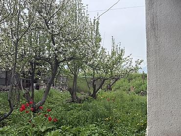 Продажа участков: 8 соток, Для бизнеса — 7