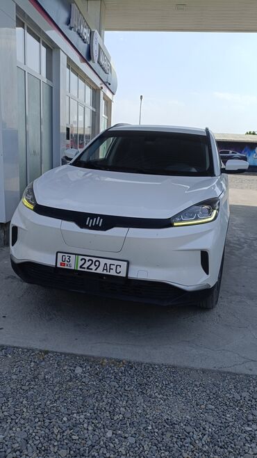 дом на колосах: BYD : 2020 г., 0.1 л, Робот, Электромобиль, Кроссовер