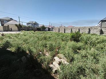 savalan torpag: 3 sot, Tikinti, Maklerlər narahat etməsin — 3