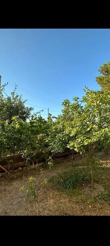 Həyət evləri və villalar: Bakıxanov qəs. 8 otaq, 550 kv. m, Kredit yoxdur, Orta təmir — 10