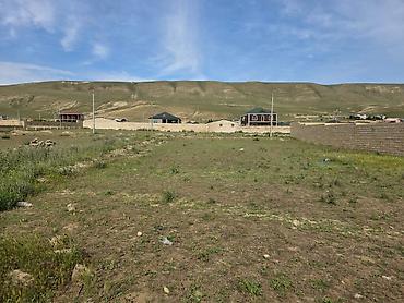 samaxi cuxuryurd torpaq: 8 sot, Tikinti, Mülkiyyətçi, Kupça (Çıxarış) — 1