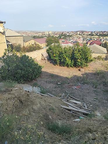 Torpaq sahələrinin satışı: 14 sot, Tikinti, Maklerlər narahat etməsin, Kupça (Çıxarış) — 9