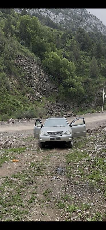 lexus js: Lexus RX: 2005 г., 3.3 л, Автомат, Газ, Кроссовер — 2