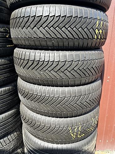 Шиналар 225 / 55 / R 17, All-season, Колдонулган, Комплект, Германия, Michelin