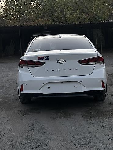 hyundai ionic: Hyundai Sonata: 2021 г., 2 л, Автомат, Газ, Седан — 10