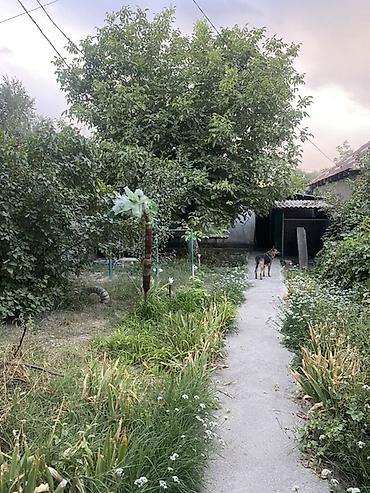 Продажа коттеджей и домов: Продаётся участок с домом . 📍УЧАСТОК ул. Дорожная (трасса на — 3