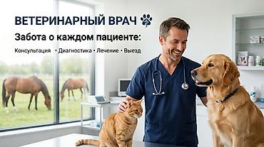 хирургия: • Ветеринарные услуги 🐾 • Консультация 🧑‍⚕️ • Диагностика 🔎 • Лечение — 1