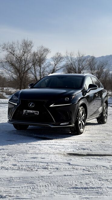 Lexus: Lexus NX: 2018 г., 2 л, Автомат, Бензин, Внедорожник