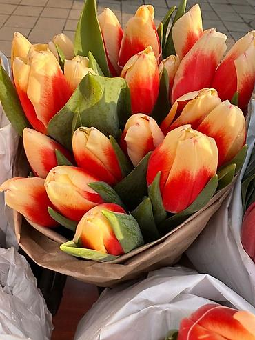 Букеты из живых цветов: Тюльпаны срезанные — букетные сборки. - Варианты окраски: насыщенный — 3