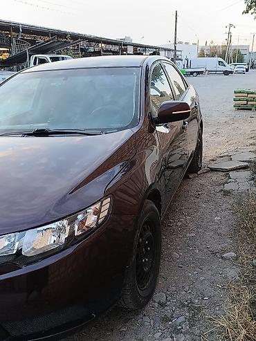кия церато: Kia Cerato: 2010 г., 1.6 л, Механика, Бензин — 3