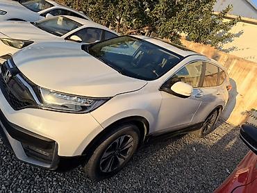 type r: Honda CR-V: 2022 г., 1.5 л, Бензин, Кроссовер — 3