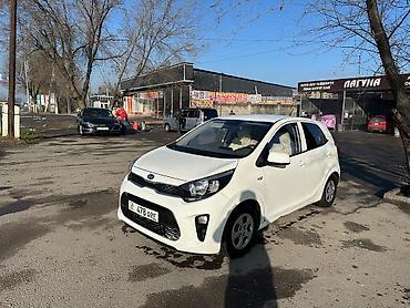 byd d1: Kia Morning: 2019 г., 0.1 л, Автомат, Бензин, Универсал — 2