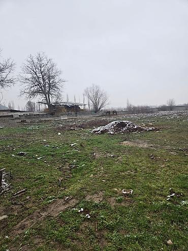 Продажа участков: 20 соток, Для строительства, Красная книга — 7