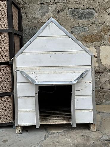 mal inək: Endirim olajax Ağ rəngli taxta it evi - Material: möhkəm taxta — 2