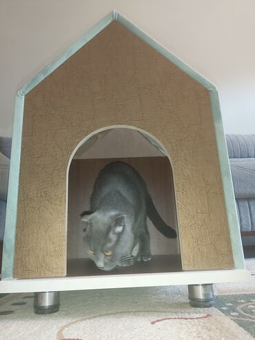 Yuvalar: Pişik üçün ev. Akril Laminat 18 lik. Ölçüləri : Hündürlük 70 sm. Eni — 5