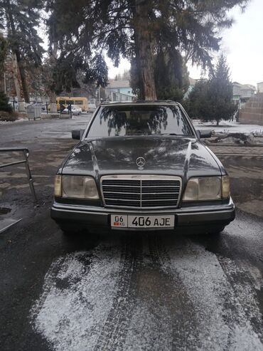 Mercedes-Benz: Mercedes-Benz W124: 1993 г., 2.2 л, Автомат, Бензин