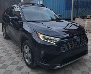 жаны донголок: Toyota RAV4 Hybrid Limited — современный гибридный кроссовер в