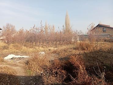 советской: С. Сокулуке продаётся дом с участком. ул Советская $77000 — 7