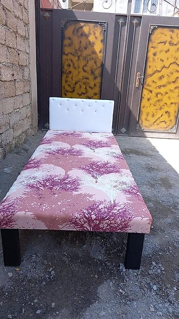 bugda toxumu satisi: Təzə çarpayılar. Taxtadan yıgılır ustu dikdən. 2 sm maçalkası var — 3
