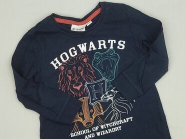 Блузка, Harry Potter, 3-4 р., 98-104 см, стан - Дуже гарний