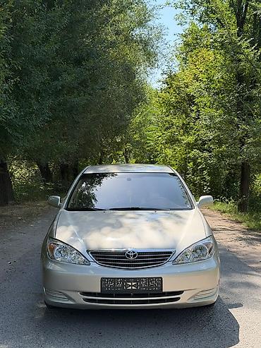 kamri 30: Toyota Camry: 2004 г., 2.4 л, Автомат, Бензин, Седан — 1
