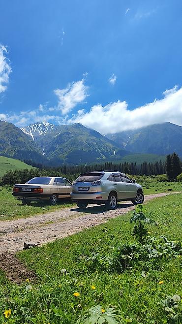 bud e9: Audi 100: 1989 г., 2 л, Механика, Бензин, Седан — 2