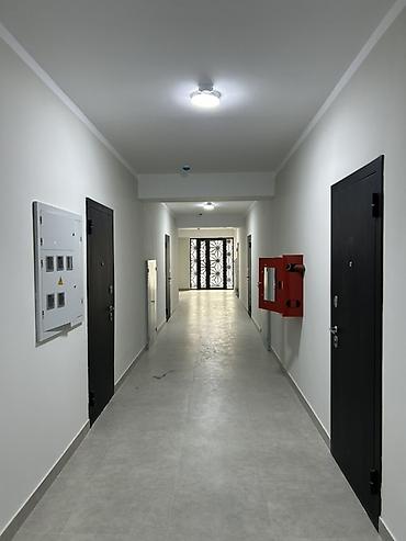 эко комплекс: 2 комнаты, Без животных — 4