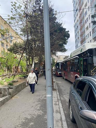 1001 xirdavat 24 saat: Salam Badamdarda Təcili hazır Ətir biznesi satılır Mağaza. 3 ün — 1