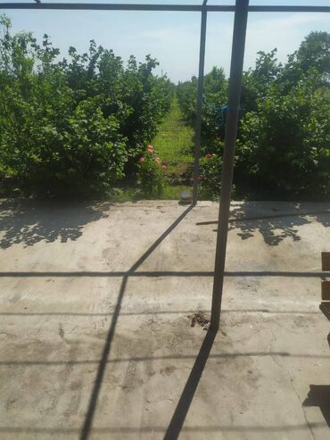 Bağ evlərinin satışı: Xaçmaz, 70 kv. m, 2 otaqlı, Hovuzsuz, Artezian quyusu, Kanalizasiya, Qaz — 13