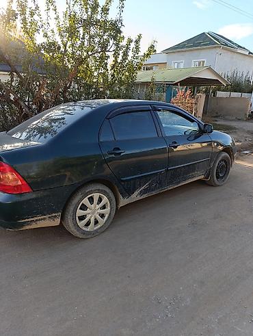 Toyota Corolla: 2006 г., 1.6 л, Автомат, Бензин, Седан