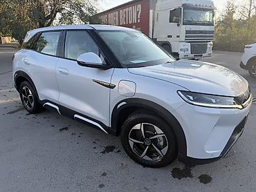 eado ev: BYD Yuan Up: 2024 г., Электромобиль, Кроссовер — 4