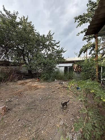Продажа домов: 📍 В центре Сокулука продается дом на участке 9 соток, 88 кв.м. 🏡Дом — 4