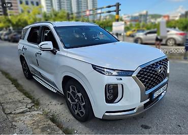 Hyundai: Hyundai Palisade: 2022 г. — 11