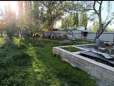 село александровка кыргызстан: 4 соток, Для строительства, Красная книга — 1