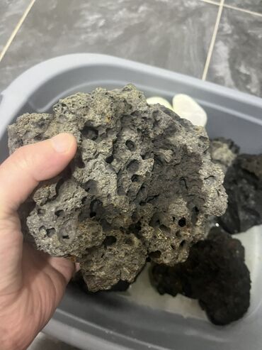 купить домик для кота: Akvaryum üçün vulkanik lavalı daşlar - Tərkib: çoxgözenekli