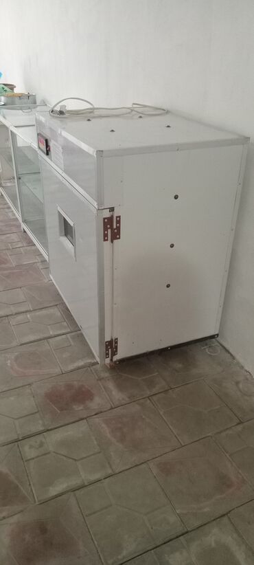 Biznes üçün program təminatı: 600 yumurta