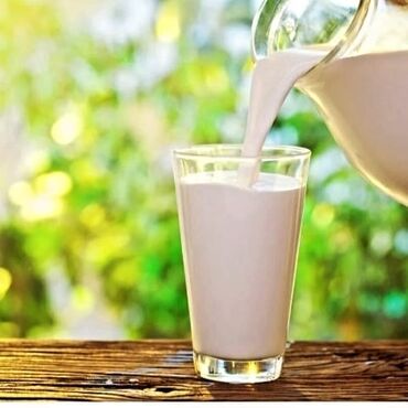 Молочные продукты и яйца: Домашнее молоко, айран, творог, сыворотка