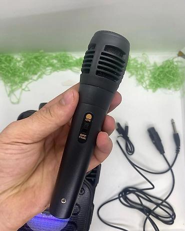 usb mikrofon: Новый Беспроводные (Bluetooth) Микрофон Apple, Доставка в районы, Самовывоз, Бесплатная доставка — 2
