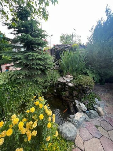 Продажа домов: Дом, 248 м², 15 комнат, Собственник — 6