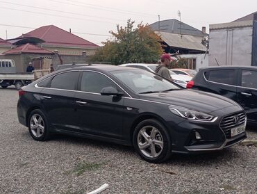 задний бампер хундай солярис: Hyundai Sonata: 2018 г., 2 л, Автомат, Газ, Седан