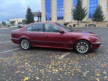 BMW: BMW 5 Series (E39) sedan - Kuzov: sedan, tünd qırmızı rəng - Ban — 5
