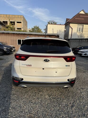 Kia: Kia Sportage: 2019 г., 2 л, Автомат, Дизель, Кроссовер — 6