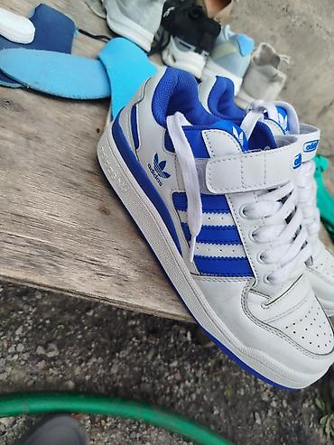 ред: Мужские кроссовки, 42, Adidas Originals, Новый — 2